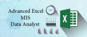 advanced excel mis dataanalyst in delhi